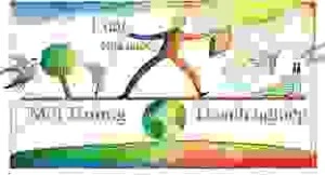 Công Ty TNHH Tư Vấn Thương Mại Hợp Tác Song Phương