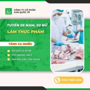 Du Học Và Xuất Khẩu Lao Động AVB – Công Ty Cổ Phần AVB Quốc Tế