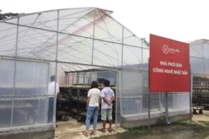 Nhà Kính WPVN – Công Ty TNHH Watanabe Pipe Việt Nam