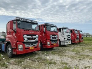 Tân Hòa Phát Logistics – Công Ty TNHH Thương Mại Và Dịch Vụ Tân Hòa Phát