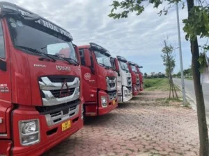Tân Hòa Phát Logistics – Công Ty TNHH Thương Mại Và Dịch Vụ Tân Hòa Phát