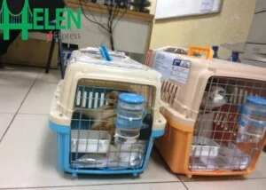 Helen Express – Công Ty TNHH Vận Chuyển Helen Express