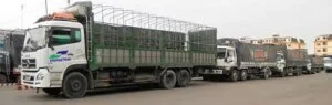 Vận Tải Huy Hoàng Hưng – Công Ty TNHH Đầu Tư Thương Mại Dịch Vụ Huy Hoàng Hưng