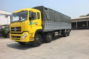 Công Ty TNHH Châu Vy Transport