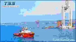 Vận Chuyển Trans Ship – Công Ty TNHH Giải Pháp Vận Chuyển Trans Ship