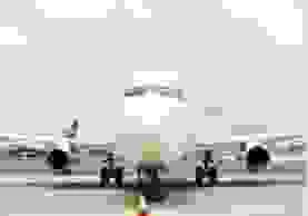 Công Ty TNHH TM Đỉnh Vàng