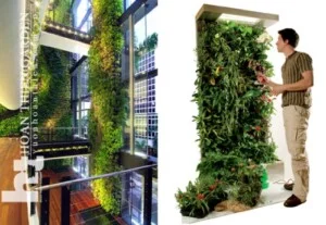 Công Ty Cổ Phần Vườn Hoàn Thiện