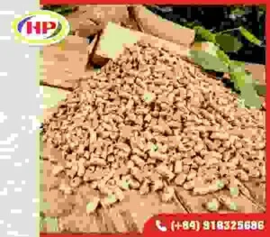 Gỗ Lâm Nghiệp Hòa Phát – Công Ty Cổ Phần Lâm Nghiệp Hòa Phát