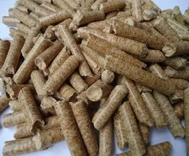 Công Ty TNHH Một Thành Viên Thương Mại Toàn Phát Tài