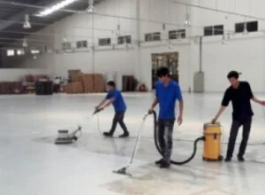 Dịch Vụ Cây Xanh Nano Clean – Công Ty TNHH Thương Mại Dịch Vụ Nano Clean