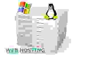 Công Ty TNHH Dịch Vụ Web