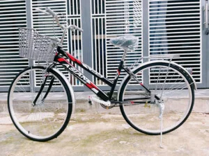 Xe Đạp DAVI – Công Ty Cổ Phần Sản Xuất Thương Mại Xe Đạp Và Xe Điện DAVI