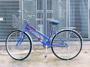 Xe Đạp DAVI – Công Ty Cổ Phần Sản Xuất Thương Mại Xe Đạp Và Xe Điện DAVI