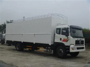 Vận Tải Trung Hậu – Công Ty TNHH Thương Mại Dịch Vụ Vận Tải Xây Dựng Trung Hậu