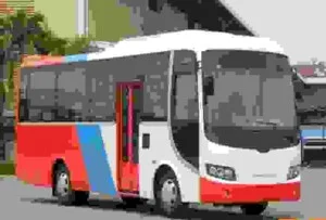Công Ty Cổ Phần Du Lịch Và Thương Mại Mặt Trời Việt