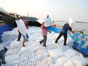 Bốc Xếp Hàng Hóa Hàng Hà Bắc Ninh – Công Ty TNHH Hoàng Hà Bắc Ninh