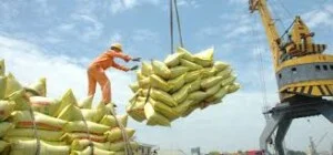 Bốc Xếp Hàng Hóa Hàng Hà Bắc Ninh – Công Ty TNHH Hoàng Hà Bắc Ninh
