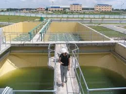 Công Ty CP Tư Vấn Đầu Tư Thảo Nguyên Xanh