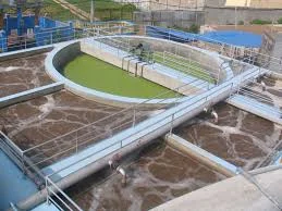 Công Ty CP Tư Vấn Đầu Tư Thảo Nguyên Xanh