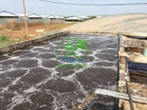 Xử Lý Nước Thải Green Star Việt Nam – Công Ty TNHH Môi Trường Green Star Việt Nam