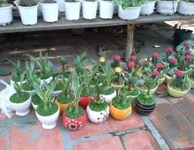 Công Ty TNHH Thiết Kế Xây Dựng Thương Mại Anh Khoa