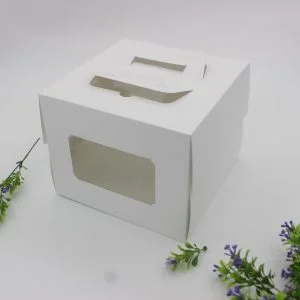 Công Ty Cổ Phần Giải Pháp Bao Bì Giấy Đất Phương Nam