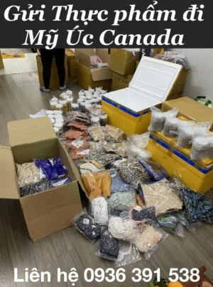 Công Ty TNHH Vận Tải Quốc Tế Vương Nhất Phát