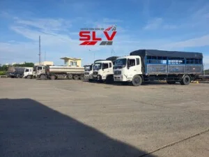 Công Ty TNHH Dịch Vụ Vận Tải Sơn Long Việt