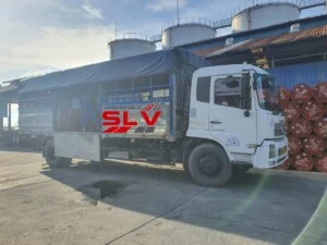 Công Ty TNHH Dịch Vụ Vận Tải Sơn Long Việt