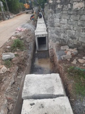 Công Ty TNHH Thương Mại Dịch Vụ Nhà Vườn Trần Phương