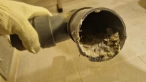 Công Ty TNHH Myung Rang Dịch vụ