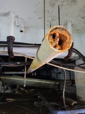 Công Ty TNHH Myung Rang Dịch vụ