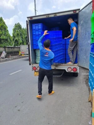 Pallet Nhựa Kim Anh