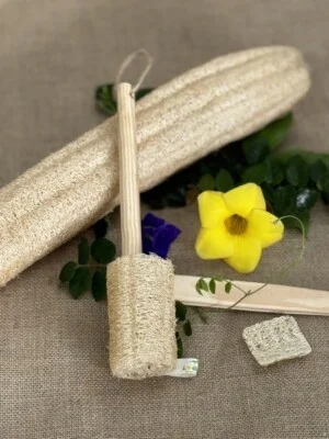 Công Ty Cổ Phần Loofaa