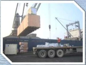 Công Ty Cổ Phần Thương Mại Dịch Vụ Đông Sơn Việt Nam