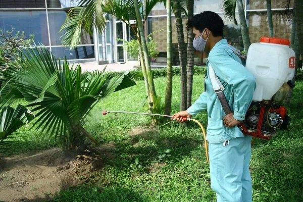 Ngoại Thất Xanh – Công Ty TNHH Ngoại Thất Xanh