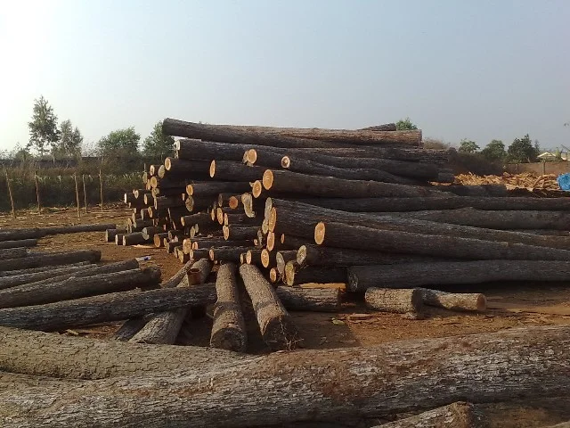 Công Ty TNHH Kinh Doanh Xuất Nhập Khẩu Và Đầu Tư HT