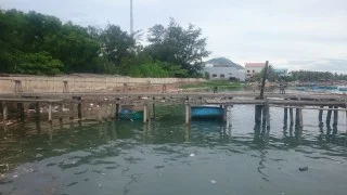Công Ty TNHH Dệt Pan Việt Nam