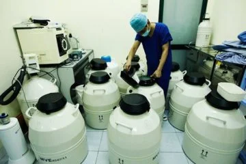 Công Ty TNHH Khí Kim Đông