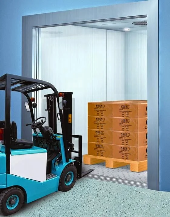 Bảo Vệ Kim Đại Việt – Công Ty TNHH Một Thành Viên Dịch Vụ Bảo Vệ Kim Đại Việt