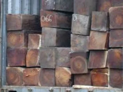 Công Ty TNHH Thịnh Phát BP