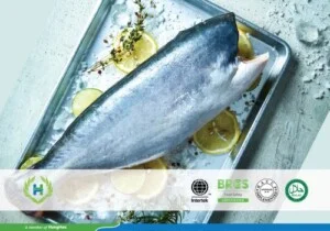 Thủy Hải Sản Đông Lạnh Hùng Hậu – Công Ty Cổ Phần Nông Nghiệp Hùng Hậu