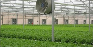 Công Ty ATC Supply (1993)