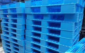 Cơ Sở Pallet Nhựa Tuấn Anh