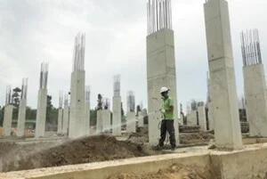 Công Ty TNHH Kiểm Soát Sinh Vật Gây Hại An Sinh