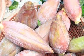 Thảo Bo Cổ – Cơ Sở Sản Xuất Thảo Bo Cổ