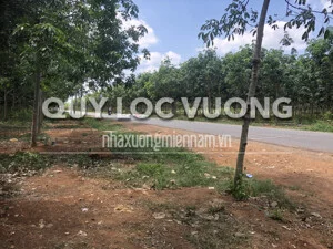 Quý Lộc Vượng – Công Ty TNHH MTV Quý Lộc Vượng