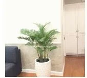 Công Ty TNHH Tư Vấn Thiết Kế Kiến Trúc – Cảnh Quan Hồ Nguyễn