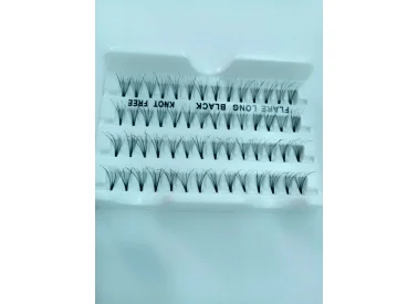 Lông Mi Thành Đạt – Công Ty TNHH Lông Mi Thành Đạt