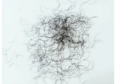 Lông Mi Thành Đạt – Công Ty TNHH Lông Mi Thành Đạt